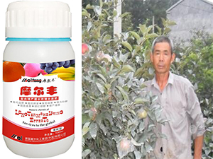 果樹葉面肥效果案例(陜西地區(qū)) 果樹葉面肥效果案例(陜西地區(qū))