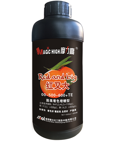 紅又大(00-500-600+TE)