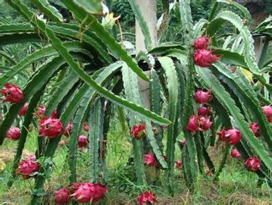 �������Y(ji��)����