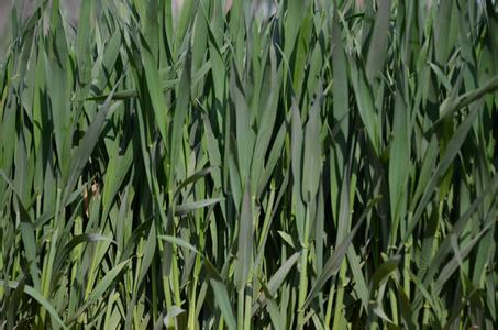 ��С���ι�(ji��)��