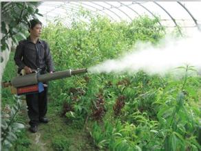 果樹噴施葉面肥 果樹噴施葉面肥