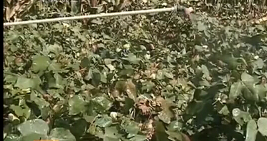 �~���ʩ���`�^(q��)