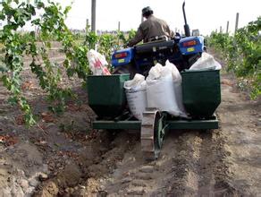 果樹施肥深度 果樹施肥深度