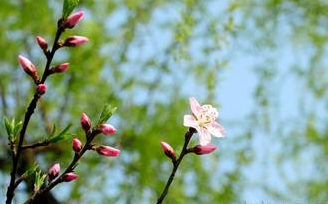 �Ҙ��_����