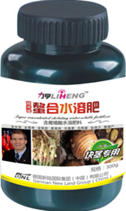 ɽˎ�����~���