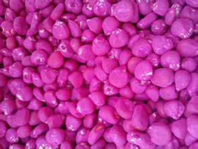 玉米葉面肥拌種 玉米葉面肥拌種