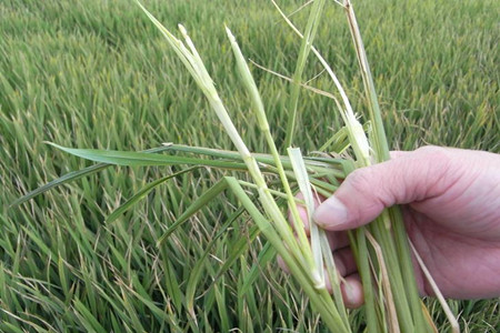 ˮ�����뇊ʩ�~���