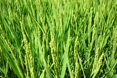 ˮ���R����