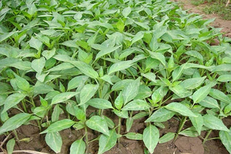 ��������ʩ�ô���Ԫ���~���