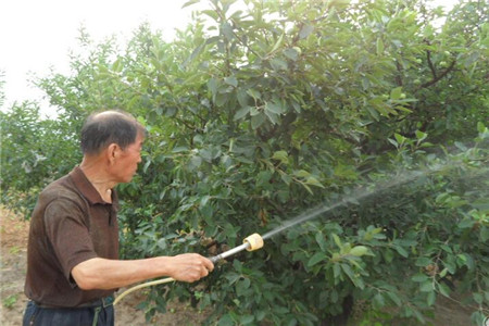 ����(sh��)��ʩ�~���