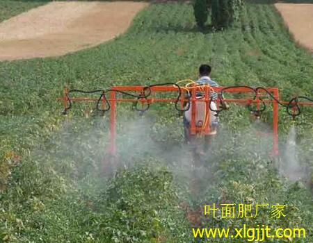 辣椒葉面肥用法 辣椒葉面肥用法