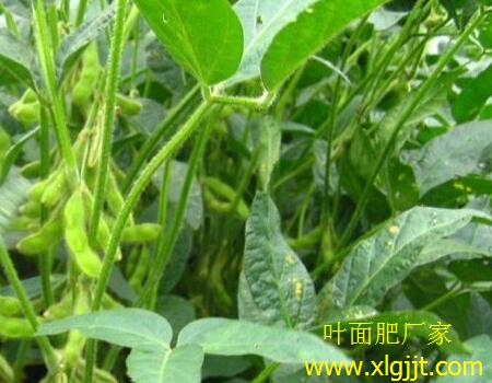 ë���~��ʇ�ʩ�r(sh��)�g