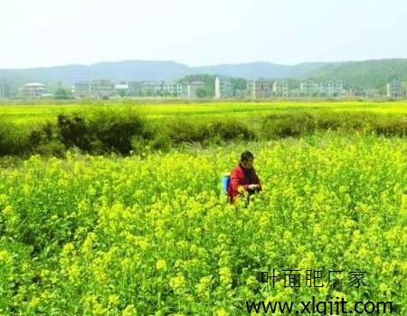 �Ͳ��~��ʇ���