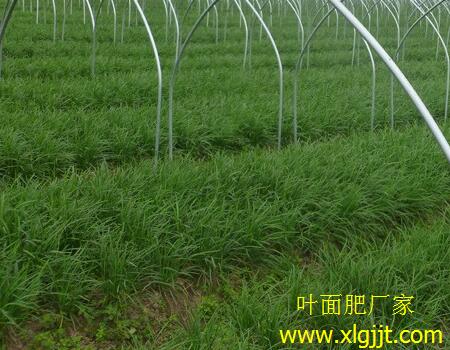 �²��~����x��