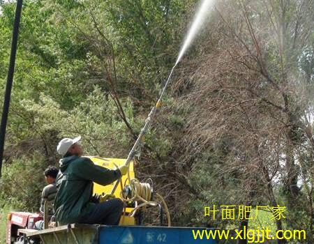 葉面肥噴施注意 葉面肥噴施注意