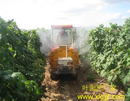 ���ч�ʩ�~��ʈ���