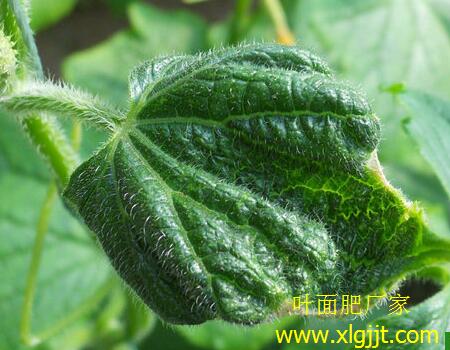 �S��ȱ�}���F(xi��n)�Y��