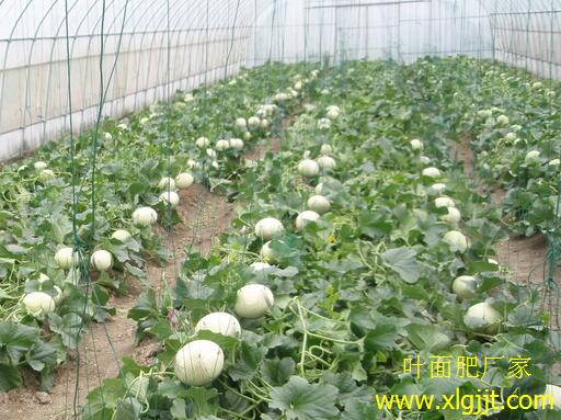 ��χ�ʩ�~����^�ѕr(sh��)�g