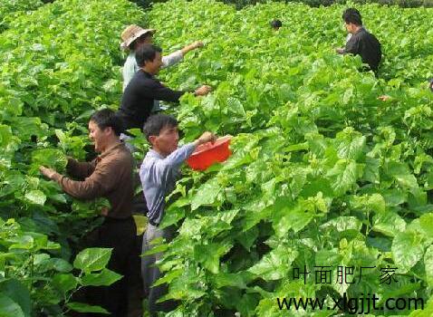 ɣ�~�~����x��