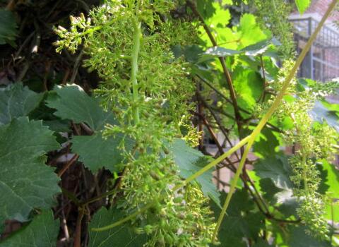 �����_(k��i)����