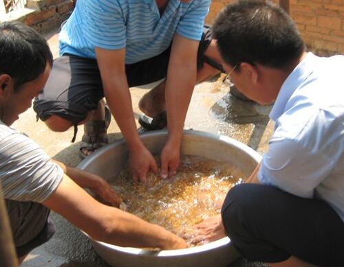 �r(n��ng)���ˆTָ��(d��o)�r(n��ng)��(h��)���N��ѿ���g(sh��)