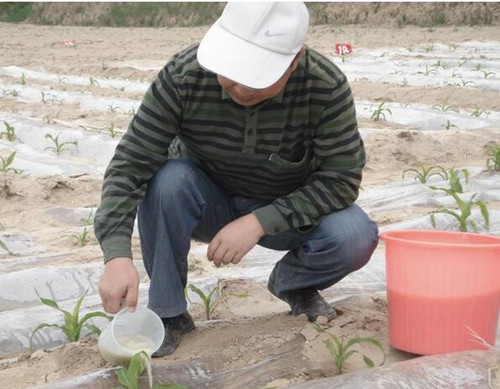 ���׹���D��