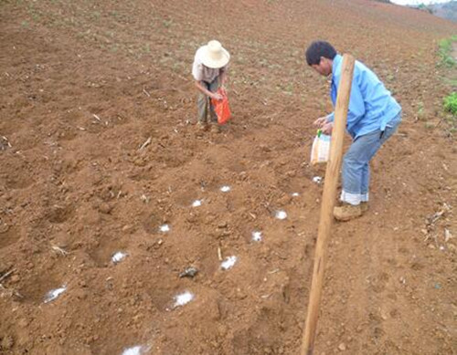 ���gʩ�׷�