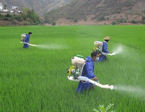 ���g��ʩ���������~���