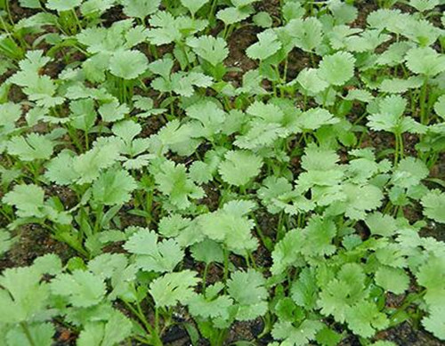 ����~�ݲ��Y����F(xi��n)