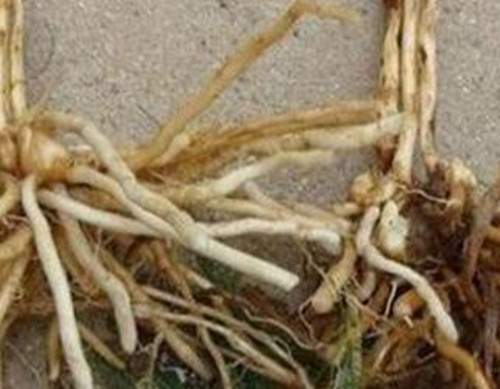 ��˸������Y����F(xi��n)