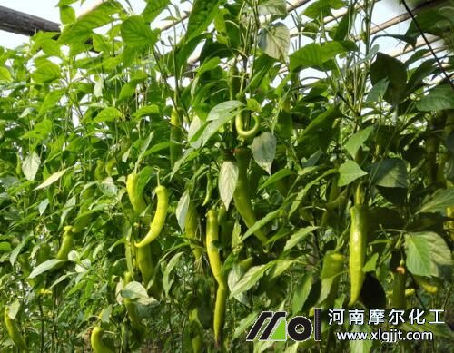 �����~����x��˜�