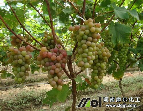 ����(sh��)ʩ�ʕr(sh��)�g