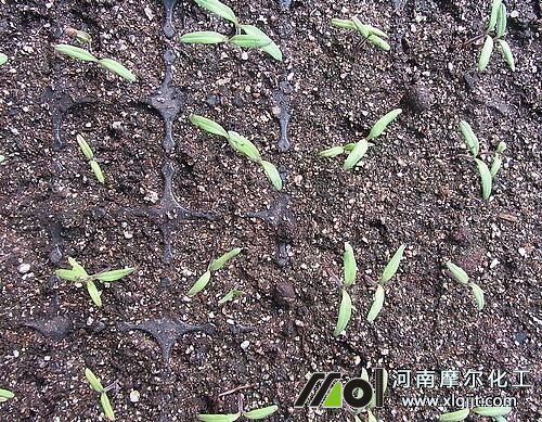 ���t���l(f��)ѿ�ڲ�ʩ��