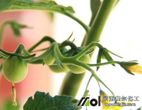 ���t���_���Y(ji��)���ڇ�ʩ�~���