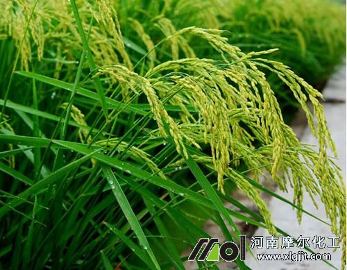 ˮ�����Y�ڇ�ʩ�~���