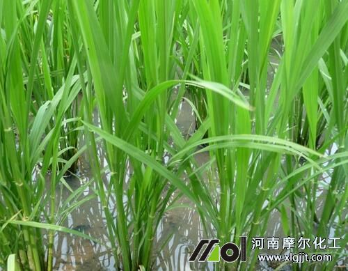 ˮ�������ڇ�ʩ�~���