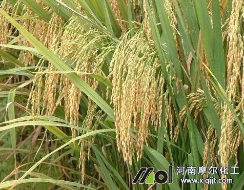 ˮ�������ڇ�ʩ�~���