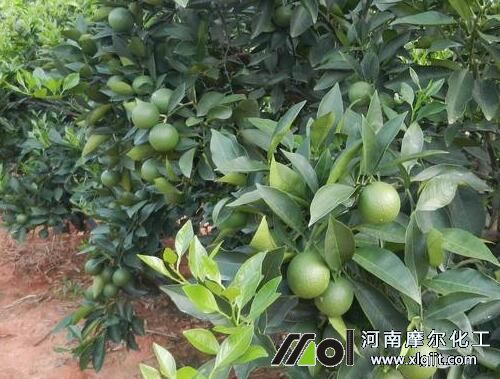 �����~����x��