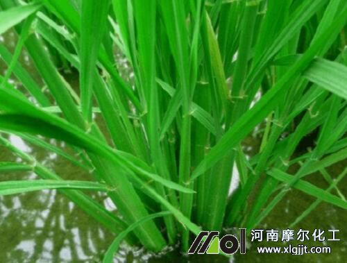 ˮ�����Y�ڇ�ʩ�~���