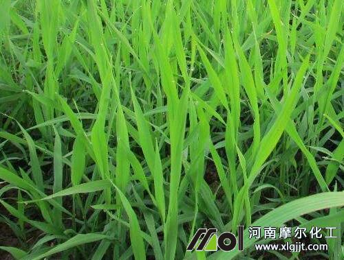 ˮ�����ڇ�ʩ�~���