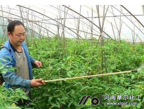 ��ʩ�~��ʼ���