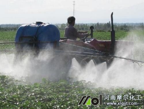 棉花噴施葉面肥 棉花噴施葉面肥