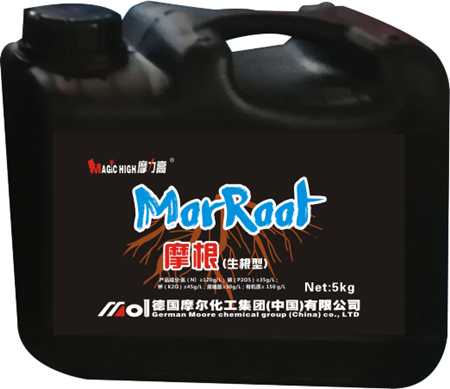 摩根生根型 摩根生根型