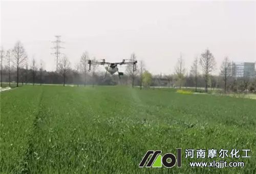 葉面肥追施注意 葉面肥追施注意