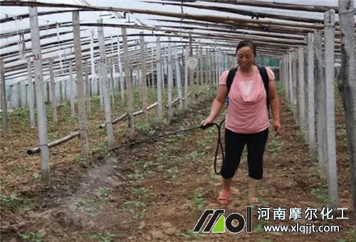 蔬菜葉面肥用法 蔬菜葉面肥用法