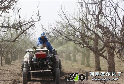 藥肥混搭噴施 藥肥混搭噴施