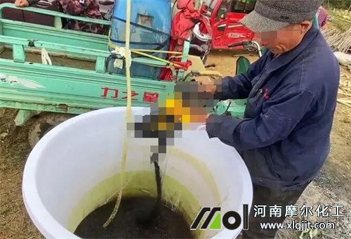 葉面肥噴施注意 葉面肥噴施注意