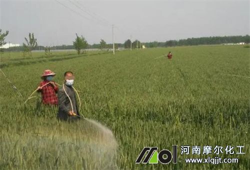 低溫打葉面肥是否有效 低溫打葉面肥是否有效