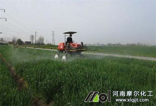 低溫打葉面肥是否有效 低溫打葉面肥是否有效