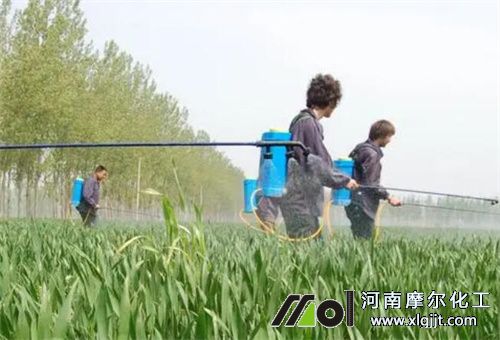 春季噴施葉面肥注意 春季噴施葉面肥注意